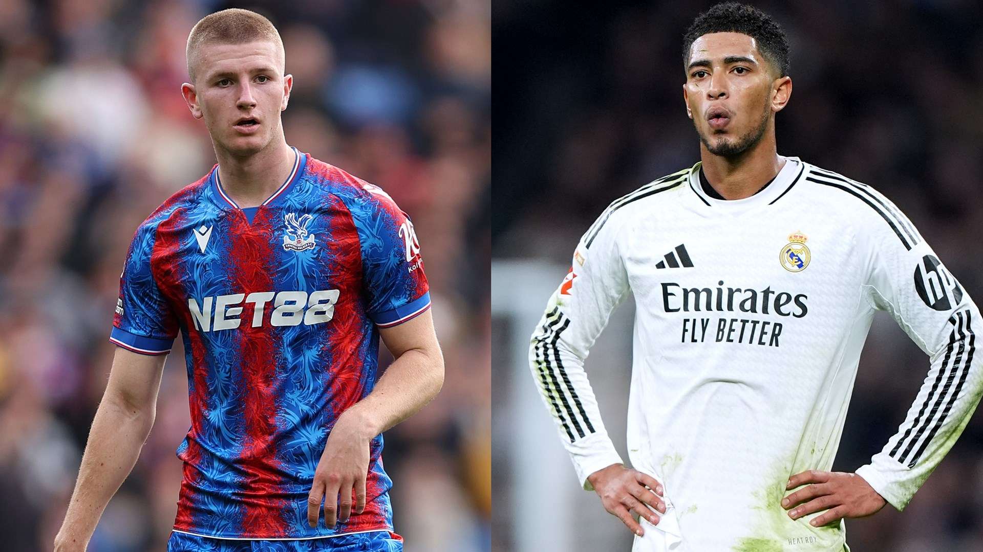 目前最需要 目前最需要