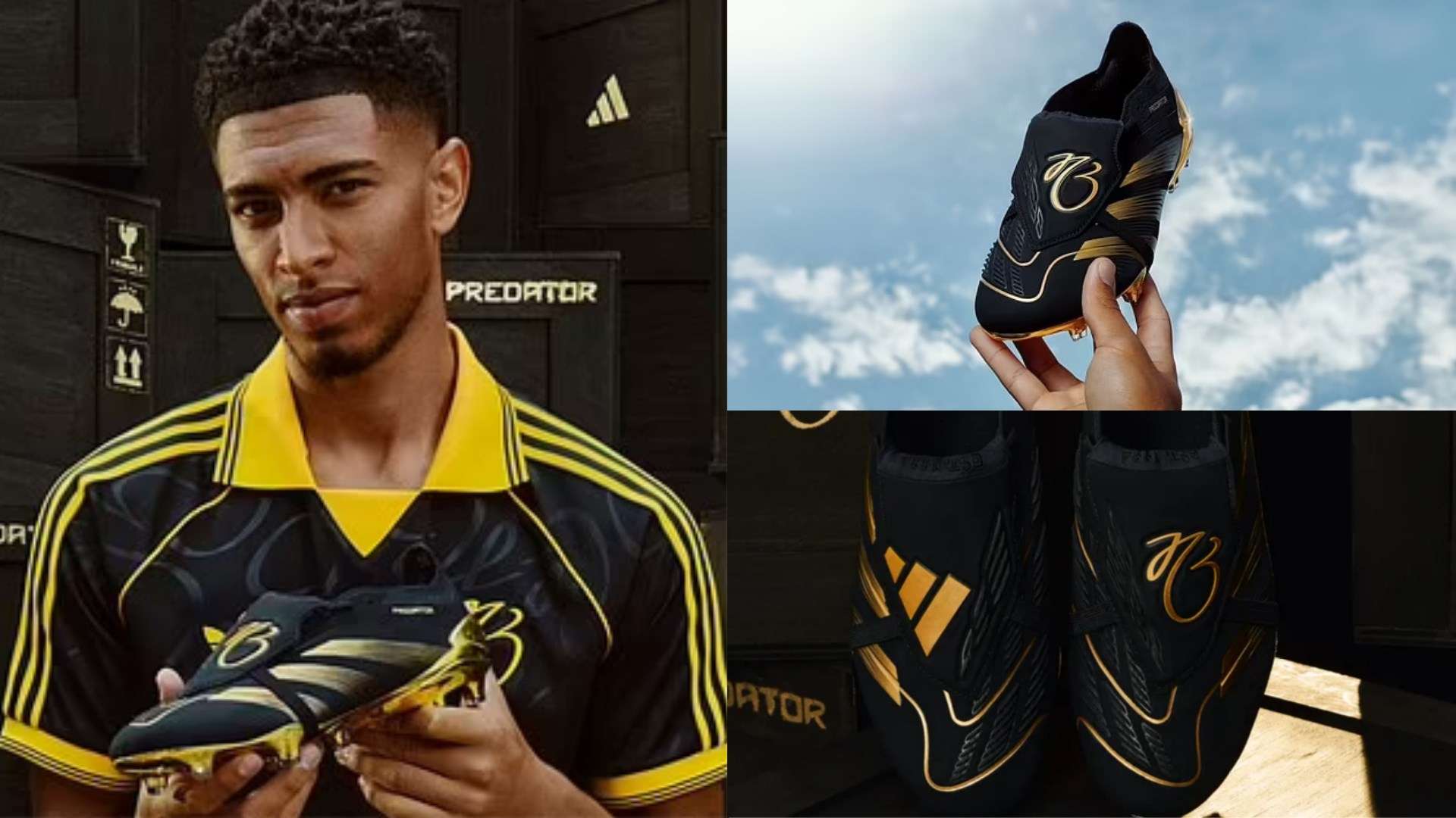 准时观看了 准时观看了